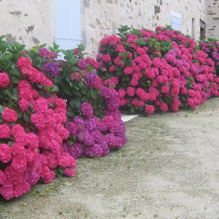 Σπίτι διακοπών Saint-laurent Pool Retreat