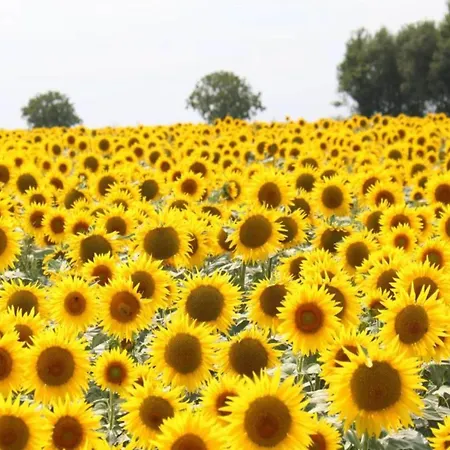 Saint-laurent Pool Retreat La Chapelle-Themer