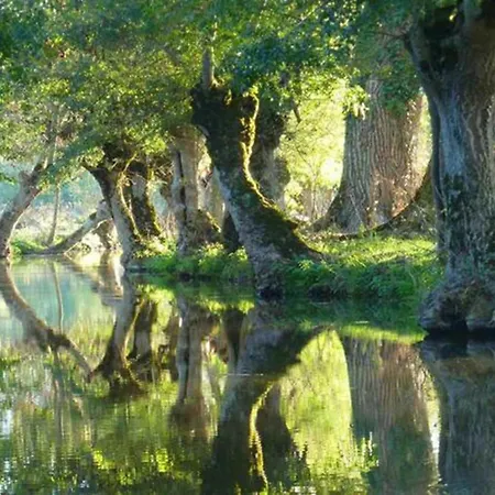 Σπίτι διακοπών Saint-laurent Pool Retreat