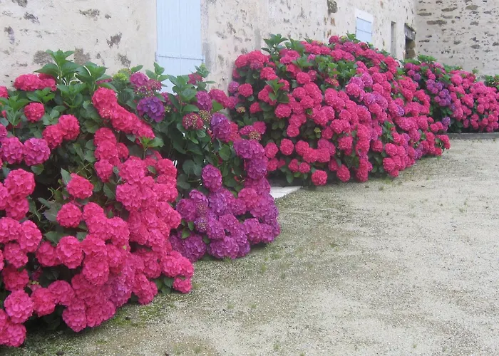 펜션 Saint-laurent Pool Retreat