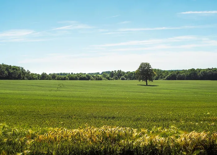 펜션 Saint-laurent Pool Retreat La Chapelle-Themer