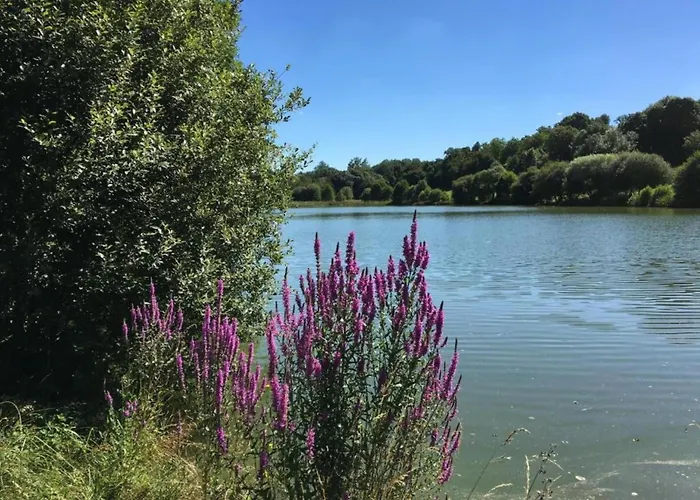 Saint-laurent Pool Retreat
