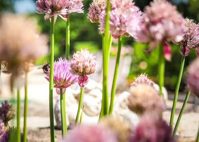 Saint-laurent Pool Retreat 펜션 *
