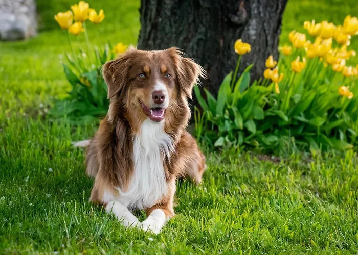 펜션 Saint-laurent Pool Retreat *